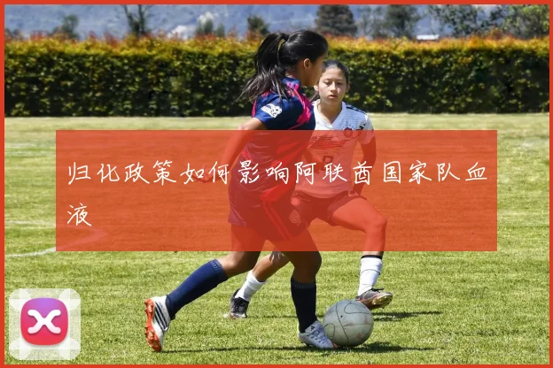 归化政策如何影响阿联酋国家队血液