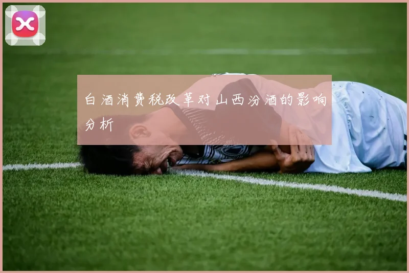 白酒消费税改革对山西汾酒的影响分析