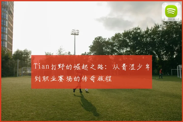 Tian打野的崛起之路：从青涩少年到职业赛场的传奇旅程