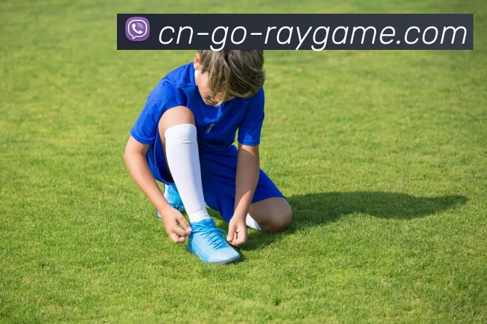 雷竞技官网APP 封面图