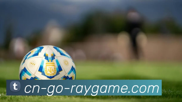 雷竞技官网APP 封面图